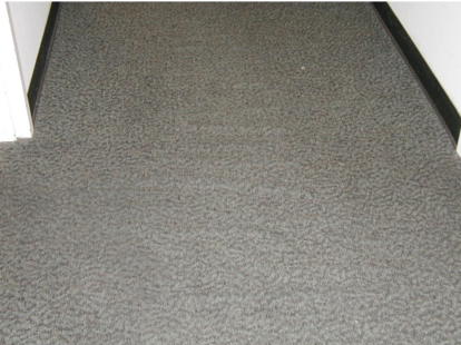 A Closer Look at Carpet Backing Types