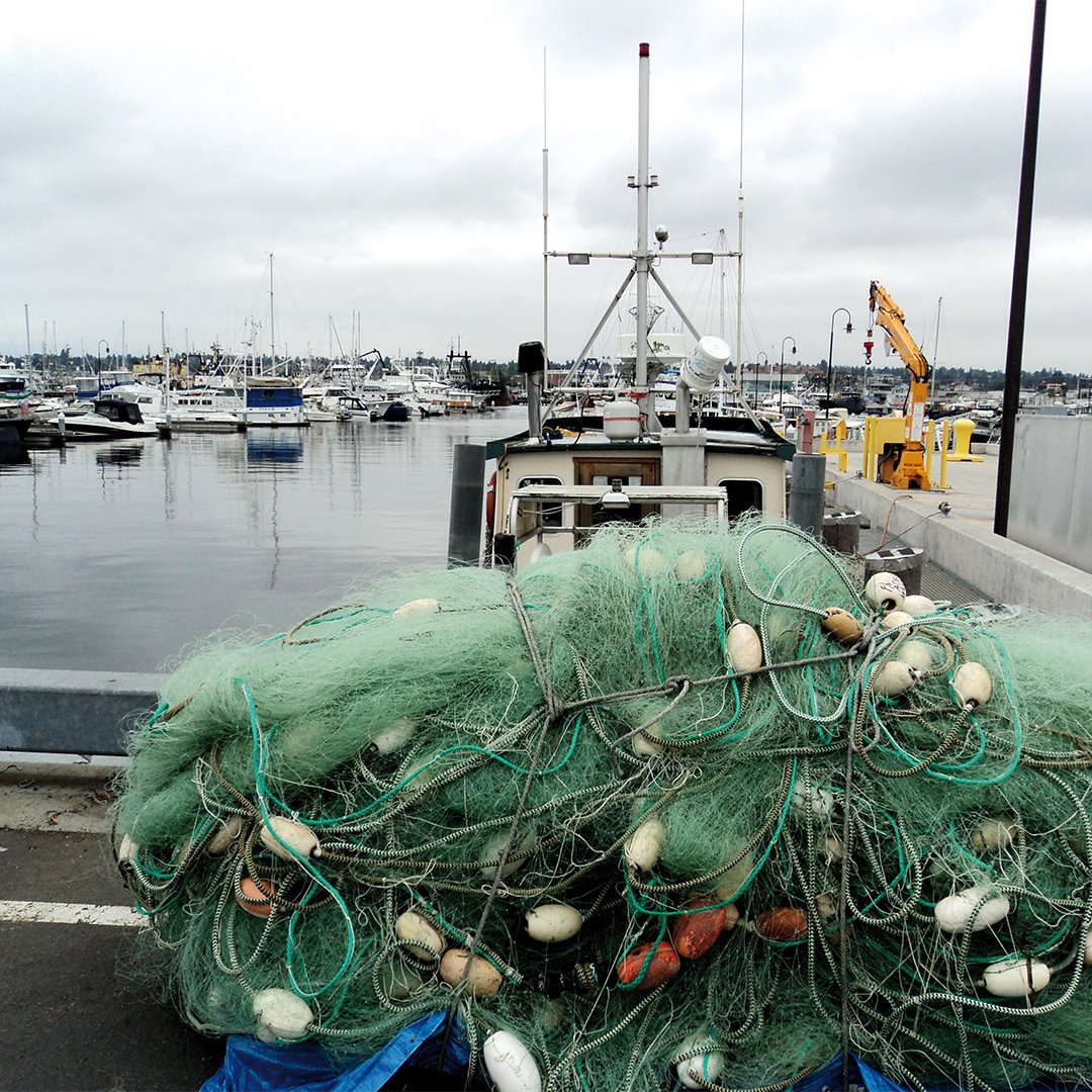 Sustainability Econyl Fishing nets carpet fibers 